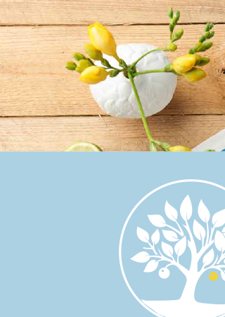 FRESH FRUIT ALLIANCE